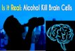 Is it Real: Alcohol Kill Brain Cells