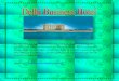 Delhi business hotel