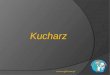 KUCHARZ ZSG-H