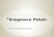 Kręgowce polski