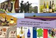 Istorijat proizvodnje vina i najznačajniji vinski regioni u svijetu i kod nas