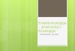 Endokrinologija - anatomija & fiziologija sa kliničkim napomenama