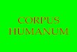 Corpus humanum