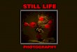 Still Life - Photography