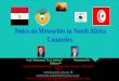 Notes on Meteorites in North Africa Countries