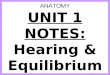 Anatomy Unit 1 Notes: Hearing & Equilibrium