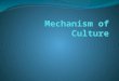 Mechanism of culture