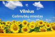 Vilnius - Galimybių miestas