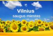 Vilnius saugus miestas