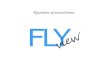 Краткое руководство FlyView