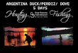 Duck & Dove & Perdiz Argentina