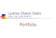 Ljubisa (Daba) Dabic Portfolio Presentation