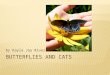 Butterflies and cats power point