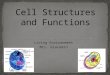 Cell part powerpoint
