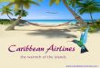 Caribbean airlines JetPak Small Package Delivery Service