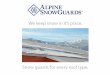Alpine SnowGuards