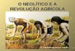 05 o-neolitico-e-a-revolucao-agricola-6-ano