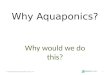 Lesson 7   aquaponics