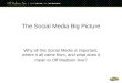 The Social Media Big Picture