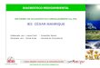 Informe DiagnóStico Ambiental CéSar Manrique