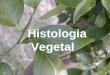 Histologia vegetal(1)