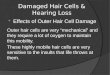 Damaged hair cells & hearing loss