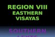 Region VIII - Southern leyte