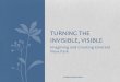 Turning the Invisible, Visible:  Imagining and Creating Emerald View Park