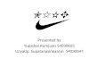 Nike Products and Company Information
