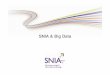 13 11-26 snia, storage networking industry association - panorama mundial do big data - Marco Carvalho