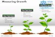 Measuring growth plant growing step by step pencil graph