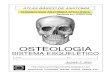 11127156 apostila-anatomia-sistema-esqueletico