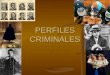 Investigación Penal - Perfiles criminales
