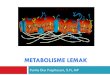 Metabolisme lemak 0