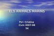 Els Animals Marins