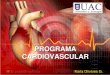 Programa cardiovascular