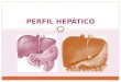 Perfil hepatico
