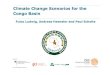 Climate Change Scenarios for the Congo Basin