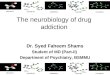 Drug addiction neurobiology