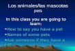 Pets description