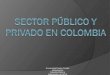 Sector público y privado en colombia
