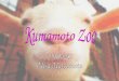 Kumamoto Zoo