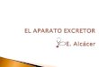 Aparato excretor EAT (2014)