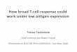 How could broad T-cell response work under low antigen expression?
