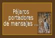 AVES Y FRASES