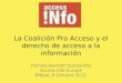 La Coalición Pro Acceso y el derecho de acceso a la información