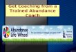 See Your Abundance Life Wheel and get Coaching from our trained Abundance Coach
