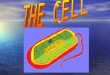 Presentation of a cell