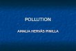 Pollution by amalia hervas