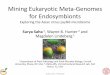 Mining Eukaryotic Meta-Genomes for Endosymbionts using Next-Generation Sequencing
